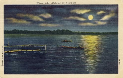 postcard: Wilson Lake, Alabama, by Moonlight