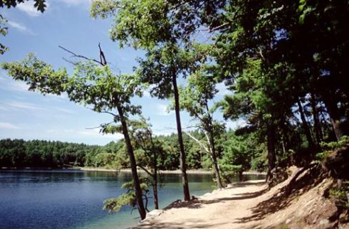 Walden Pond from the shore