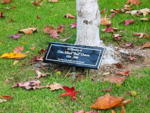 Otto Alfred's tree and plaque