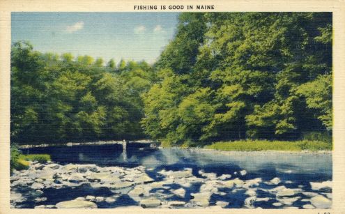 Postcard: Fishing is Good in Maine