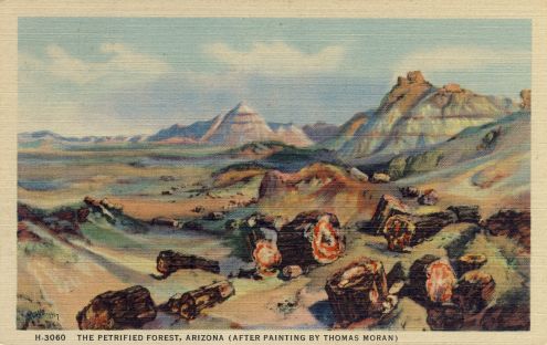 Postcard: Petrified Forest, Arizona