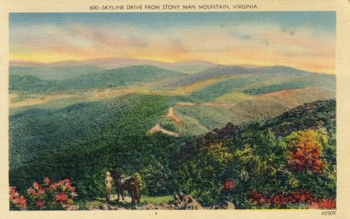 Postcard: Skyline Drive, Virginia